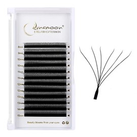 Lunamoon 6D W Volume Eyelash Extension, Premade Fans Eyelash Extensions, Pre-Fanned W Eyelashes (6D-0.07-C,8-15 mm)