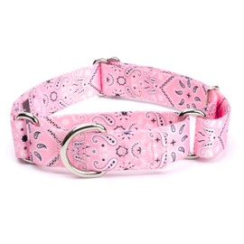 Country Brook Petz - Pink Bandana Martingale Dog Collar - Country and Western Collection Featuring Rustic Designs (5/8 Inch, Small)