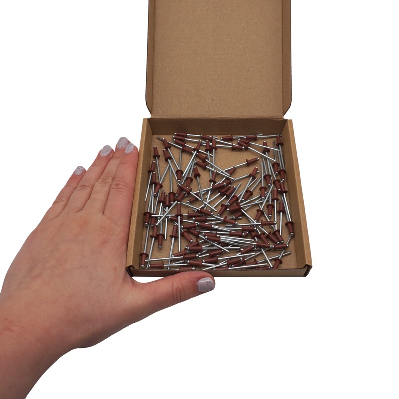 Pack of 100 Painted Blind Rivets 3.2 x 8 mm,