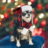 Coume Christmas Antler Check Dog Hat and Scarf Set Winter