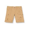 Fjällräven Barents Pro Men's Shorts M