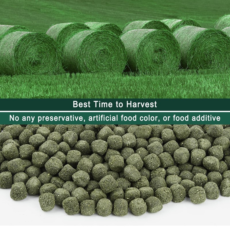 Ohcool Timothy Hay Cubes 10 oz with Small Size -