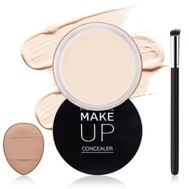 TEIHWAL Under Eye Concealer for Dark Circles Under Eye Corrector De Ojeras Long Lasting Cream White Concealer Tattoo Cover up Makeup-01 Ivory White