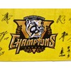 Hanshin Tigers Series Championship Commemorative Face Towel, Approximately 31.9 x