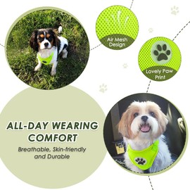 SlowTon Dog Seat Belt Car Harness Set - Adjustable Dog Seatbelt with Carabiner for Most Cars, Breathable Dog Vest Harness Padded with Car Safety Leash for Small Medium Large Dogs Puppy (Lime Green, S)