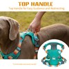 ARING PET No Pull Dog Harness-Soft Breathable Teal Dog Harness