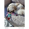Ruggles Dog Toy - Tough Suede Dog Toy - Eco