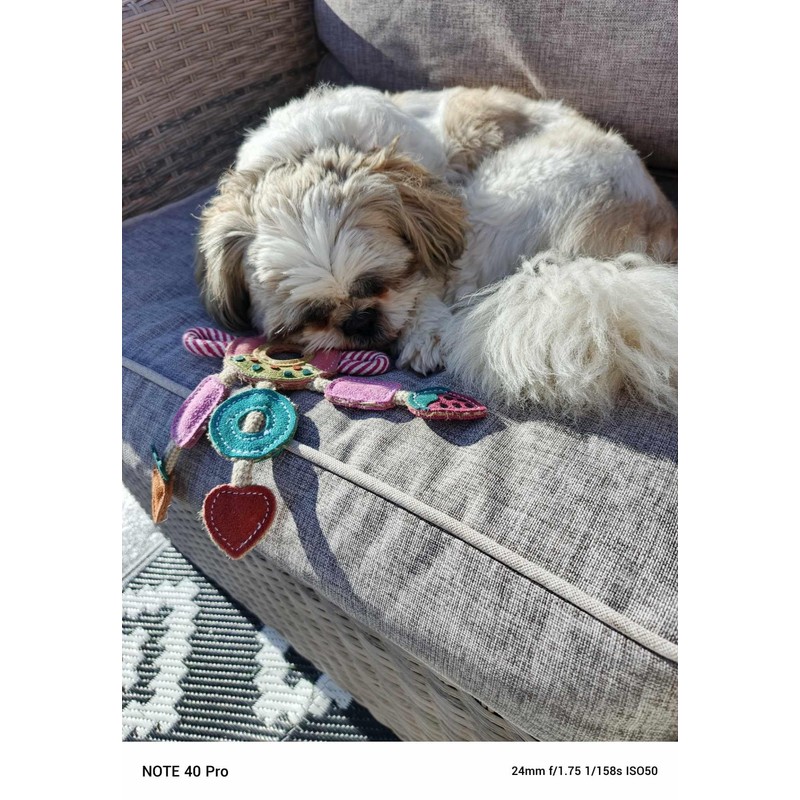 Ruggles Dog Toy - Tough Suede Dog Toy - Eco