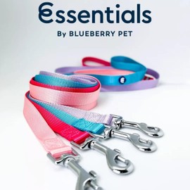Blueberry Pet Essentials Purple Dog Leash for Medium - 5' * 3/4" Dogs | Heavy Duty Nylon Lead | Lightweight Puppy & Cat Leash for Walking & Training