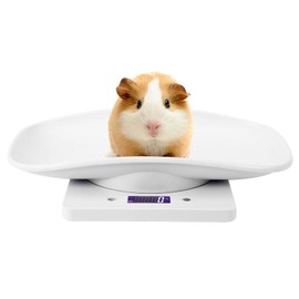 Digital Pet Scale, LCD Animal Scale, 0-22Pound High Accuracy Electronic Weighing Scale, Multifunctional Electronic Weighing Scale for Small Animals Hamster Birds Kittens (No Battery Included)