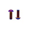 RISON Pack of 5 Titanium Rounded Head Screws with Hexagon