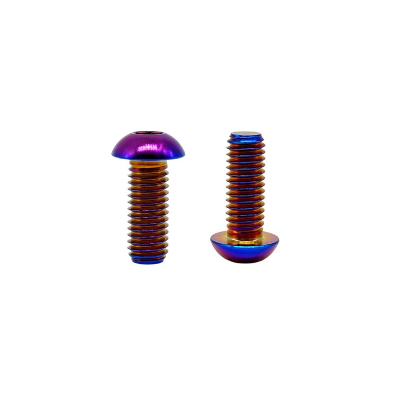 RISON Pack of 5 Titanium Rounded Head Screws with Hexagon