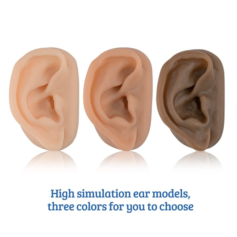 SimCoach Modelo de oreja de acupuntura, réplica de oreja artificial