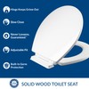 Mayfair Ashton Easy to Clean Single Hinge Toilet Seat, Modern
