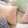 DEELAND Pack of 2,Double-Sided Faux Fur Plush Decorative Throw Pillow