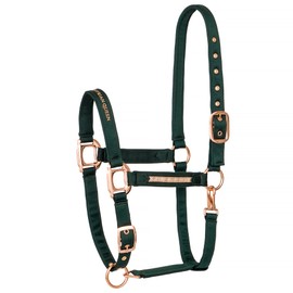 EQUESTRIAN QUEEN Milan Halter for Horses Adjustable 2 Compartments on Chin Strap & Headpiece, Stable Halter, Horse Thoroughbred, Halter Warmblood, Pony (Green, Cob (Thoroughbred)