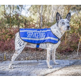 SERVICE DOG (Do Not Disturb/Dog Is Working) Blue Colour Coded S M L Reflective Waterproof Fleece Lined Warm Dog Coats PREVENTS Accidents By Warning Others Of Your Dog In Advance (M-L)