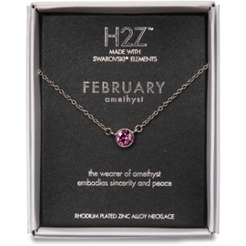 H2Z Pavilion Gift Company 16217 February Amethyst Birthstone Necklace with 18-Inch Chain , purple
