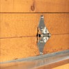 Garage Door Hinges #2-14 Gauge Steel Heavy Duty with Galvanized