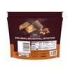 HERSHEY'S NUGGETS Milk Chocolate, Toffee and Almonds Candy Share Pack,