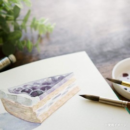 Maruman S21VA vifArt Watercolor Paper Sketchpad, SM, Medium Grain, 15 Sheets