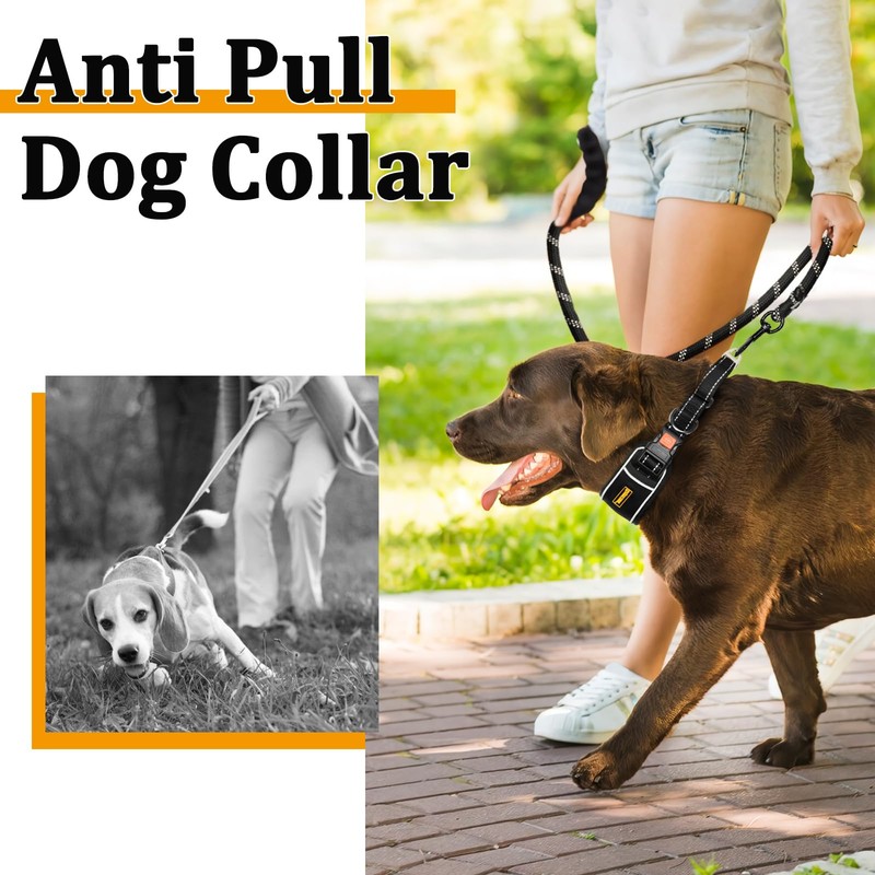 Mayerzon Martingale Dog Collar No Pull for Large Medium Dogs,