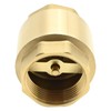 DUZFOREI Brass in-Line Spring Check Valve DN32 1-1/4" Female Thread,