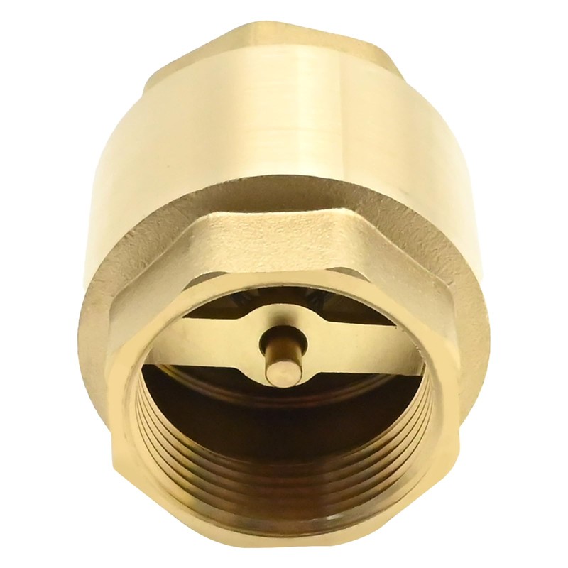 DUZFOREI Brass in-Line Spring Check Valve DN32 1-1/4" Female Thread,