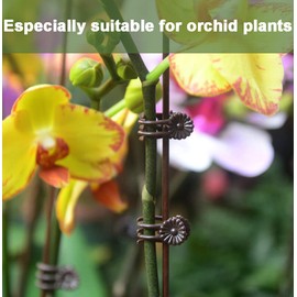 EESC2Y 40-PCs Orchid Clips for Plants Support - Dark Green, for Small - Middle Climbing Plants Vine Plants & Single Stem Plants