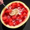 Shoxil Watermelon Cutter Slicer Cut Watermelon Into Cubes Knife Melon