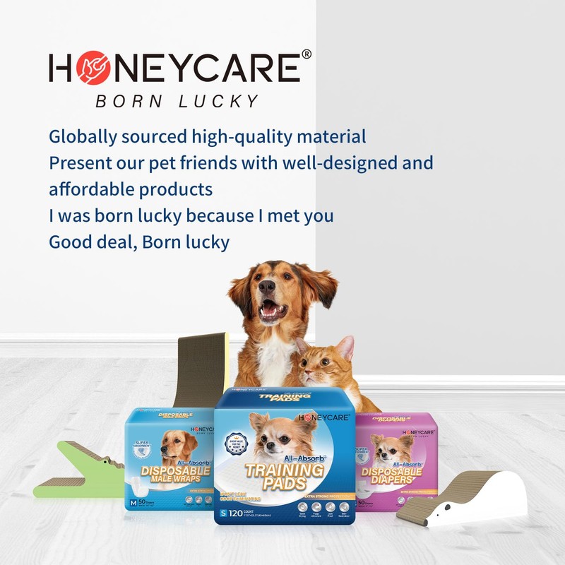 Honey Care All-Absorb, Small 17.5" x 23.5", 120 Count, Dog