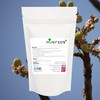 Nutrics® Boswellia Serrata 15:1 4500mg Extract V Capsules- Indian Frankincense