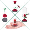Mini Brands Create Garden Capsule (2 Pack) by ZURU, Mini