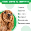 Probiotics for Dogs, 120 Chews, Pre & Probiotic Supplements for