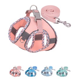 Petank Dog Harness for Small Medium Dogs No Pull, Puppy Harness and Leash Set, Easy Walk Dog Harness for Walking, Running, Training, Small Dog Harness, Medium Dog Harness (Pink, XS)