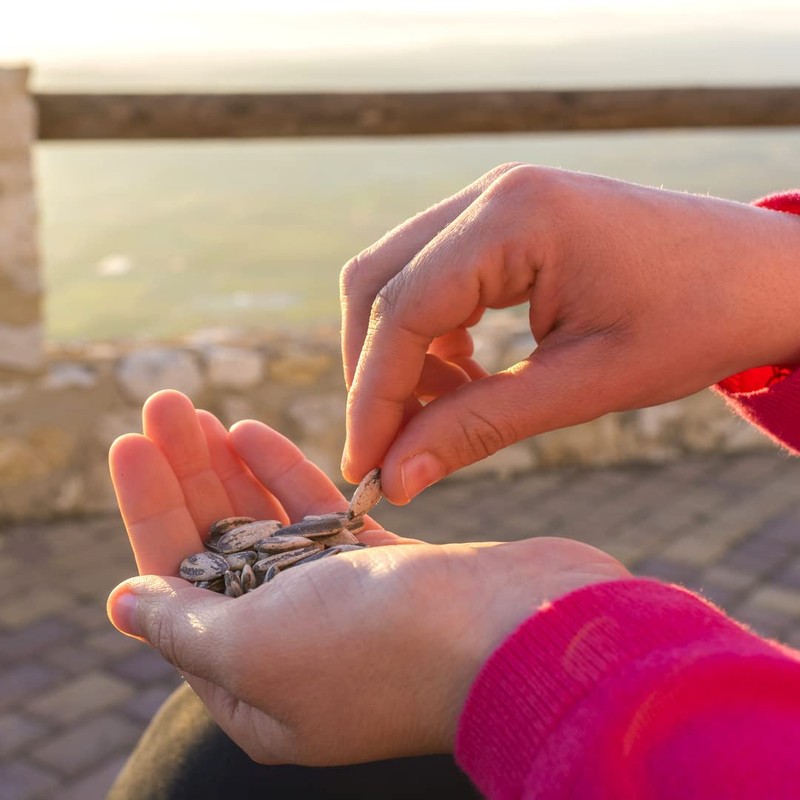 Alises- Pipas Giant Roasted and Salted - Spanish Snack -