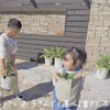 ecomotto Eco Mot Eco Planter with Drawing Space Set of