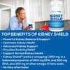 Kidney Shield 2-Pack Kidney Support Supplement Fish Oil Omega-3 Fatty