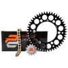 Primary Drive Alloy Kit & Gold X-Ring Chain Black Rear
