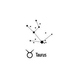Taurus - Stier - Forever Never® | Temporäre Tattoos für Erwachsene - Hält bis zu 2 Wochen | vegan, wasserfest, EU-zertifiziert