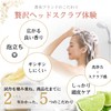 CARA Head Scrub, 230g Citrus Ice Mint, Scalp Cleansing Scrub,