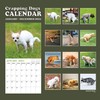 Gag Gifts - 2024 Wall Calendar, White Elephants Pooping Dogs,