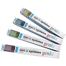 Lion Systemagenki DENT. EX Systemagenki Pack of 12