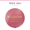 Bourjois - Blush (33 Lilas d`or)