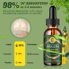 GPGP Greenpeople 3 Bottles Mullein Leaf Drops Lung Cleanse Respiratory