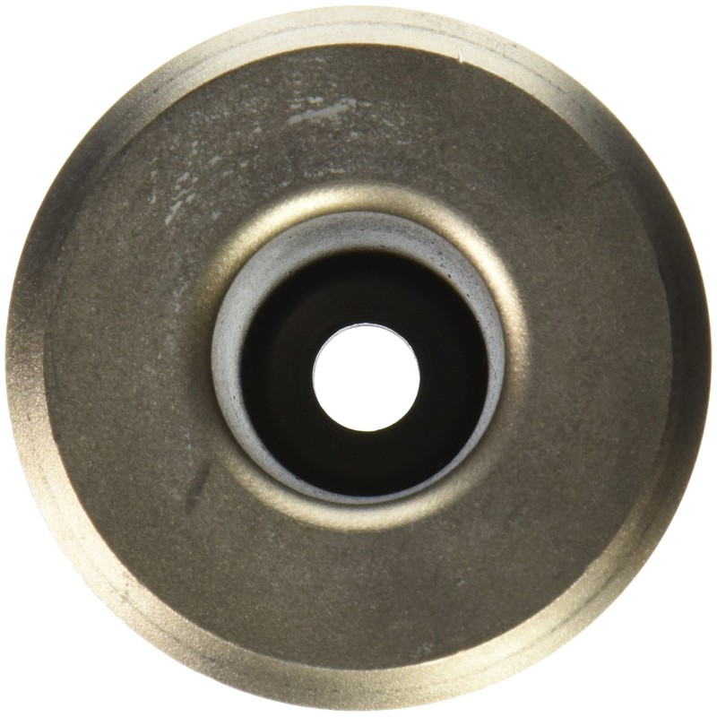 Bosch HS2126 5-1/2 in. Tent Stake Driver 1-1/8 in. Hex