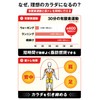 Elite Jumps: BOXER Jump Rope for Intermediate Training, Adult Jump