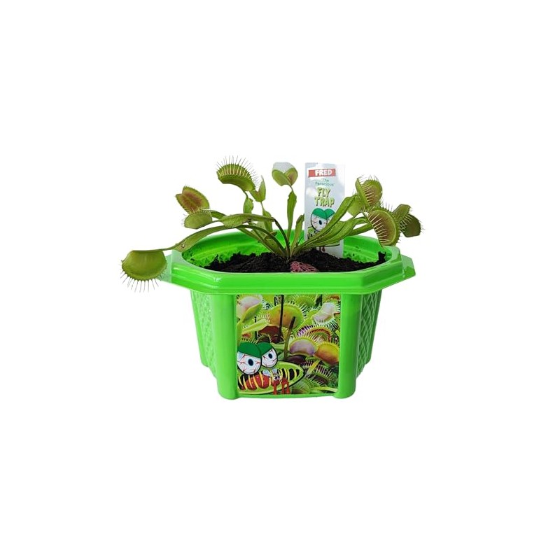 Toys By Nature Character Micro Domes Fred The Ferocious Flytrap