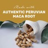 Dr. Klein's High-Potency Maca Root – 7:1 Extract, 3500mg Equivalent