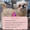 Warmer Weather Dog Harness - Comfortable & Adjustable Harness for